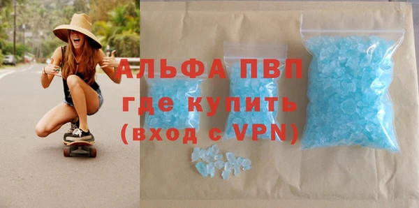 стафф Алексин