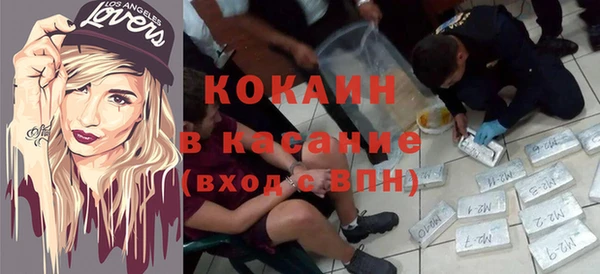 стафф Алзамай