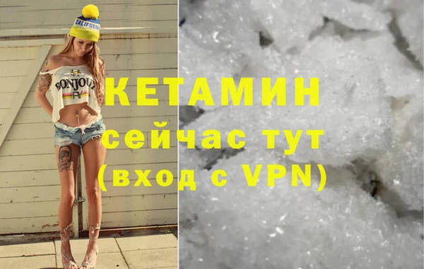 стафф Алзамай