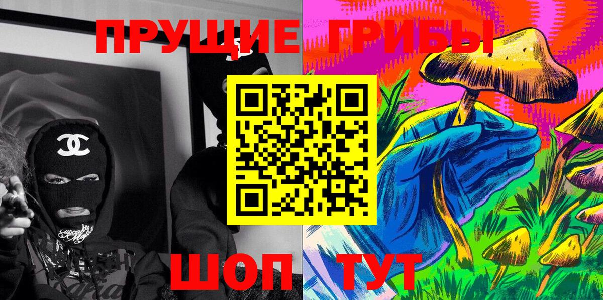 Ахтубинск  Псилоцибиновые грибы MAGIC MUSHROOMS  Псилоцибиновые грибы Cubensis  Вход с VPN 